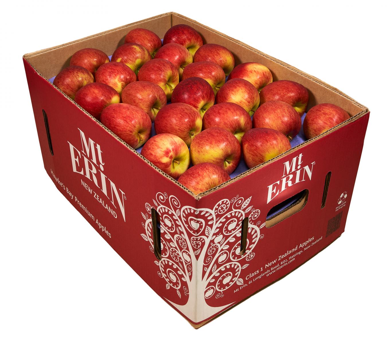 Fruit wholesale - Mt Erin New Zealand Apples - Braeburn