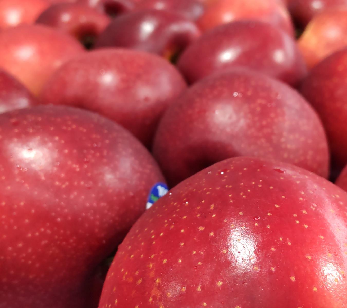 Mt Erin New Zealand Apples - Wholesale NZ Queen