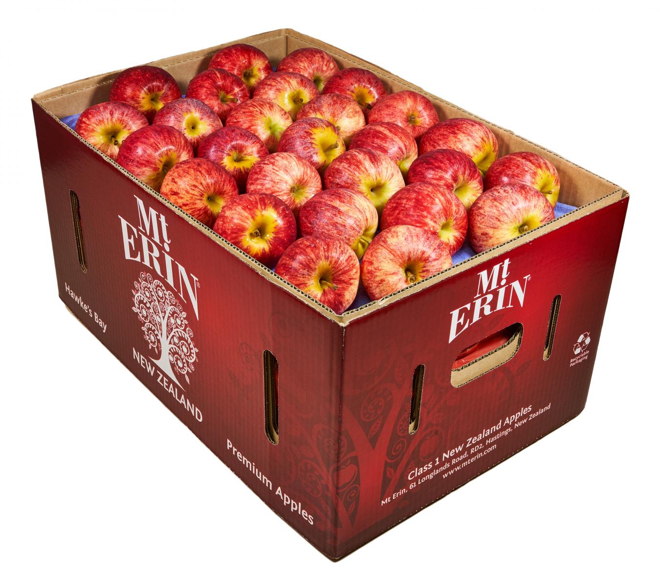 Fruit wholesale - Mt Erin New Zealand Apples - Royal Gala