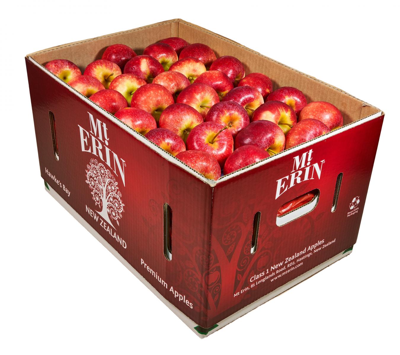 Fruit wholesale - Mt Erin New Zealand Apples - NZ Beauty