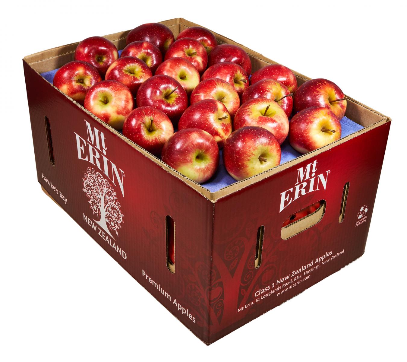 Fruit wholesale - Mt Erin New Zealand Apples - NZ Queen